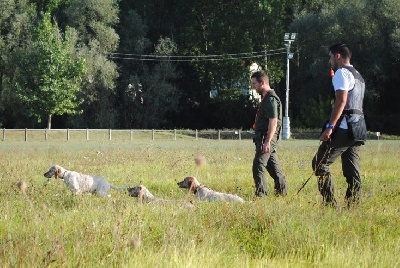 des Cabanes Tchanquées - Démonstration FETE de la chasse LA REOLE (33)