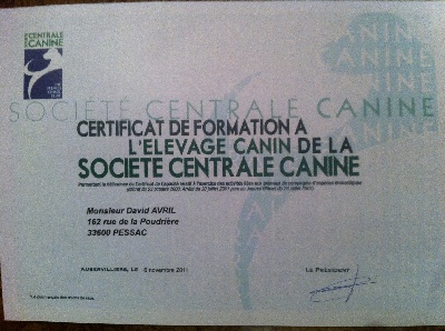 des Cabanes Tchanquées - SCC: Certificat de Capacité à l'Elevage