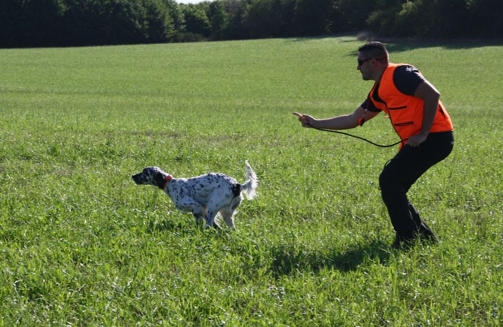 des Cabanes Tchanquées - IRUN VAINQUEUR CFN 2015 par équipe