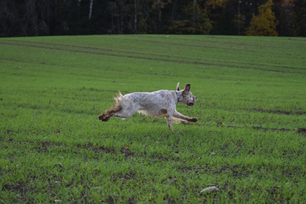 Rosenn Du Val Médullis