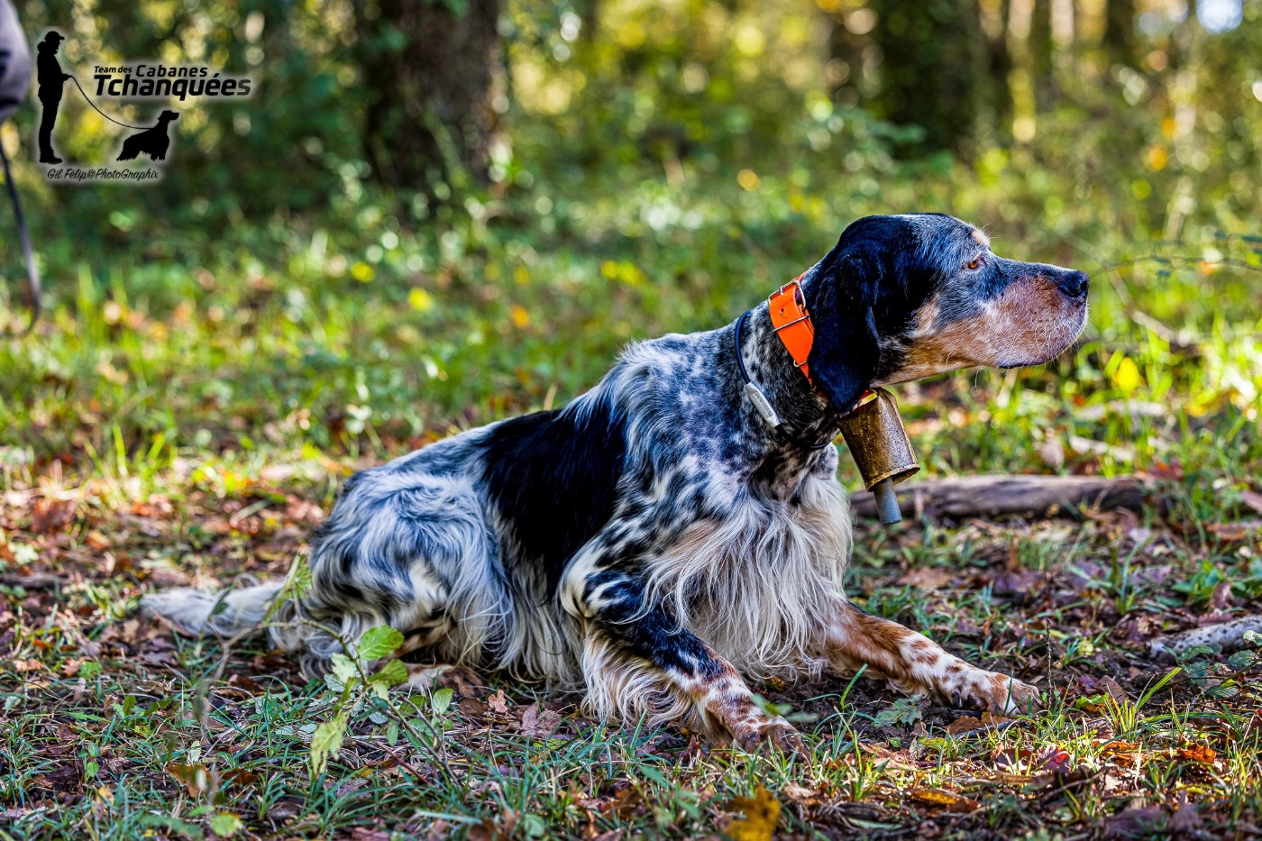 TR. Renac des Cabanes Tchanquées