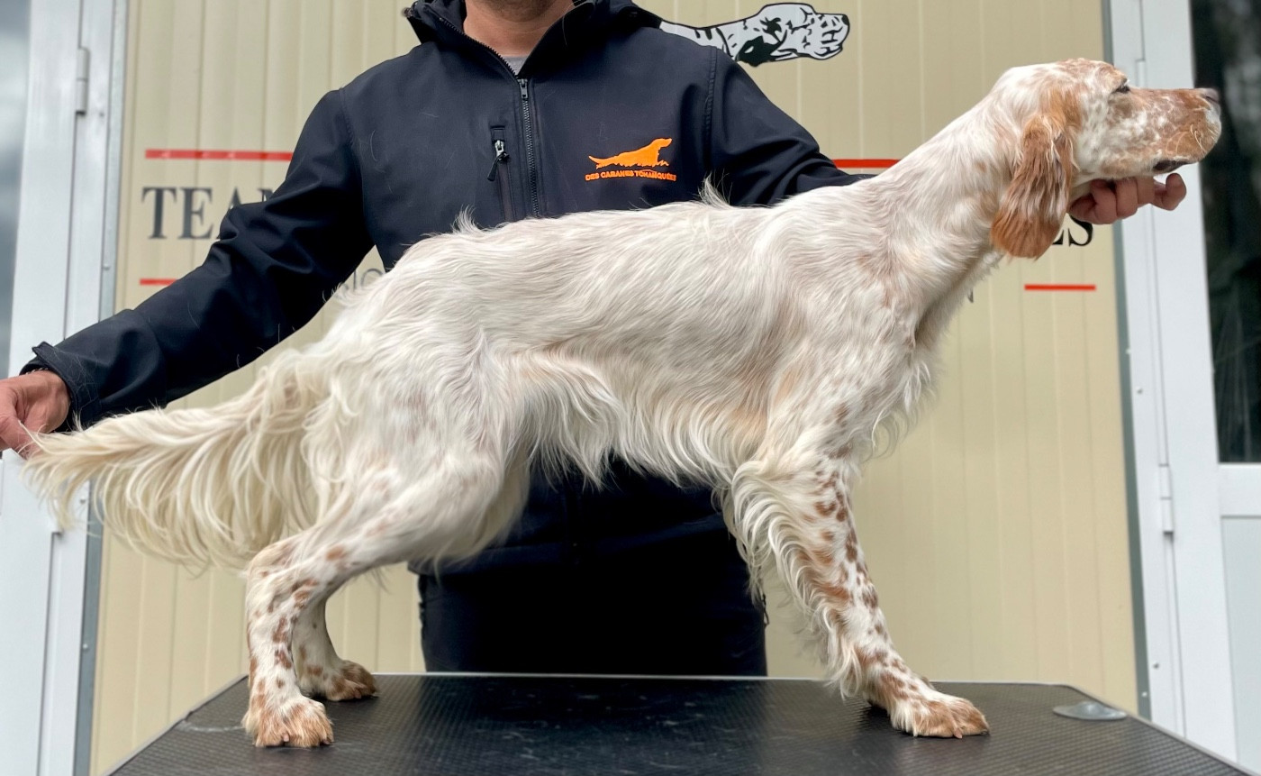 Alba des Cabanes Tchanquées