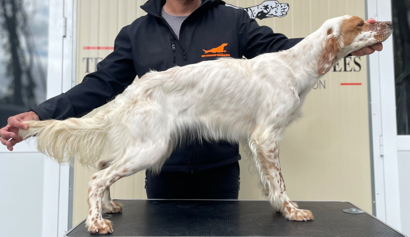 Andalucia des Cabanes Tchanquées