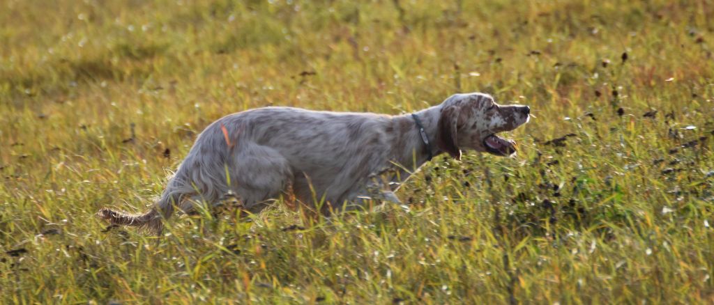 Rosenn Du Val Médullis