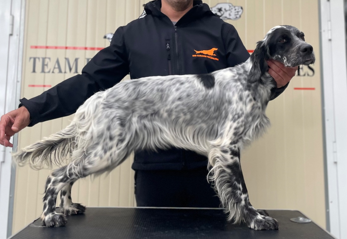 ATHÉNA des Cabanes Tchanquées