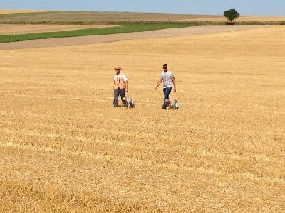 des Cabanes Tchanquées - Entrainement fields en CHAMPAGNE