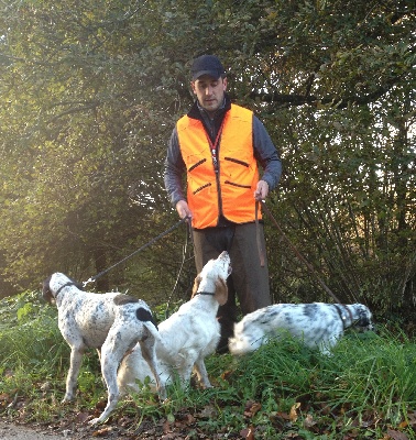 des Cabanes Tchanquées - BRETAGNE: Entrainements et Fields Becasse