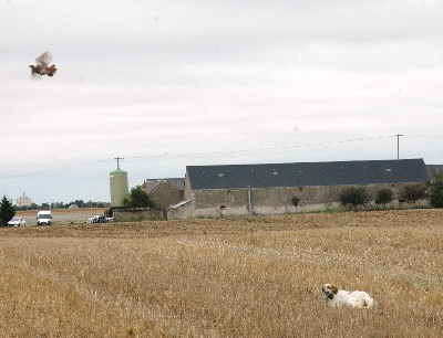 des Cabanes Tchanquées - BEAUCE et CHAMPAGNE